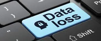 Data Loss Risks